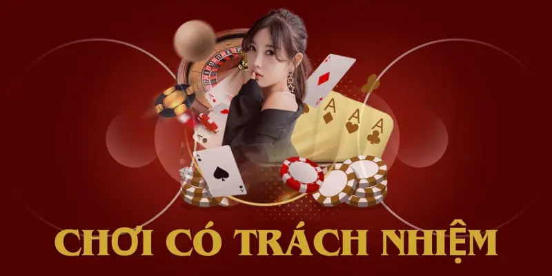 Vai trò chính của việc chơi có trách nhiệm