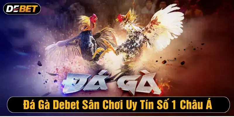Giới thiệu sảnh đá gà debet