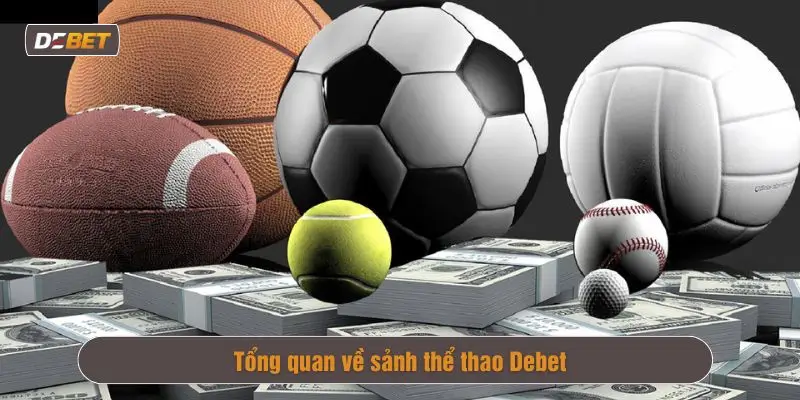 Giới thiệu sảnh thể thao debet